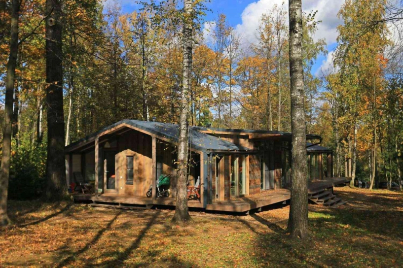 Căn nhà ẩn mình trong rừng tuyệt đẹp xây trong 10 ngày - 4