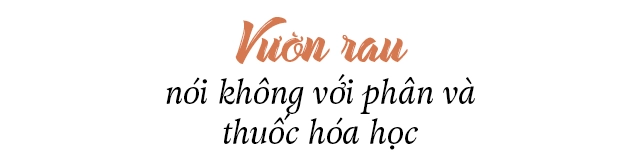 Chàng trai vĩnh long làm khu vườn 200m2 sáng 6h dậy vạch lá bắt sâu - 15