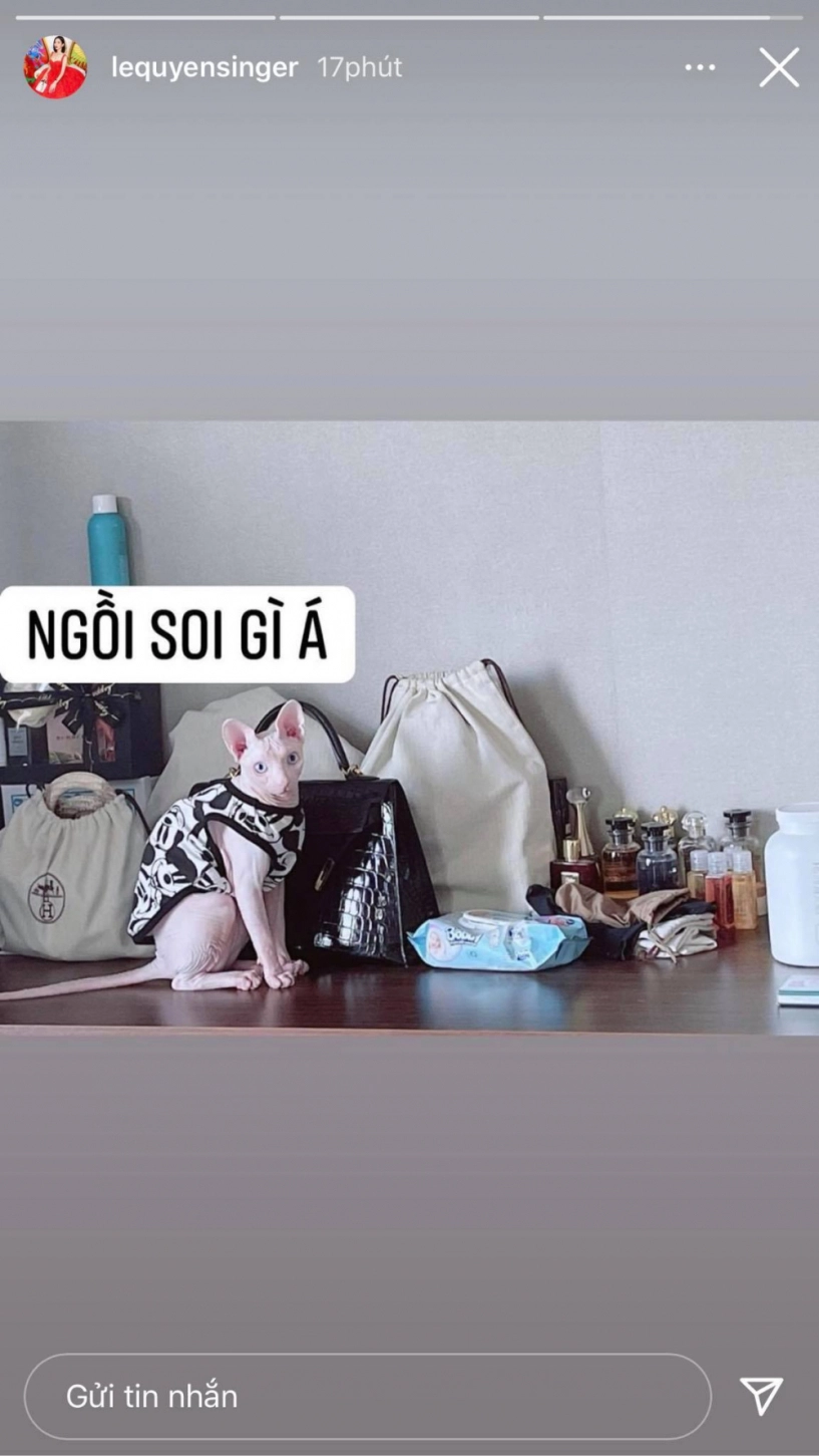 Chị em hột xoàn giữ túi tiền tỷ lệ quyên bọc vải bố lý nhã kỳ đùm túi nilon - 6