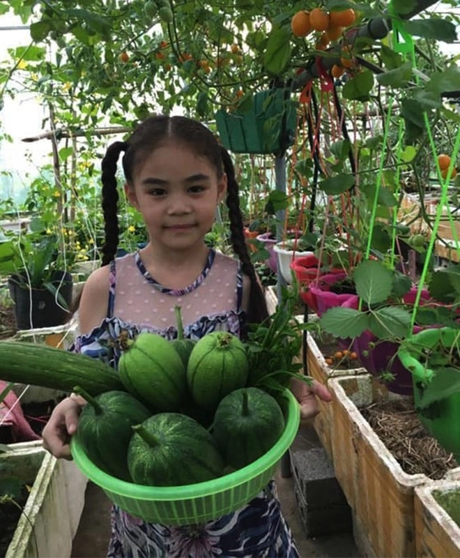Con gái thích dâu tây mua không có mẹ việt đầu tư 250k trồng 200 cây sân thượng trĩu quả - 14