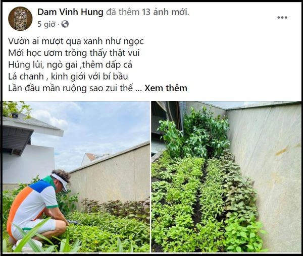 Đàm vĩnh hưng học làm nông dân trong biệt thự 60 tỷ vườn rau toàn những thứ như ở quê - 3