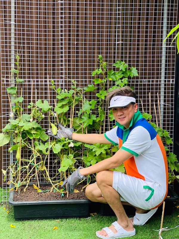 Đàm vĩnh hưng học làm nông dân trong biệt thự 60 tỷ vườn rau toàn những thứ như ở quê - 4