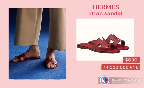Đồ hiệu quá nhiều khả như bị cún cưng cắt nát đôi dép đắt tiền - 5