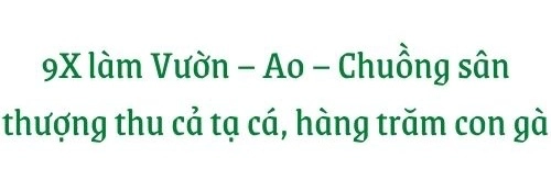 Giữa lòng thủ đô thanh niên làm vườn ao chuồng thu về cả tạ cá cà chua su hàođủ loại - 4