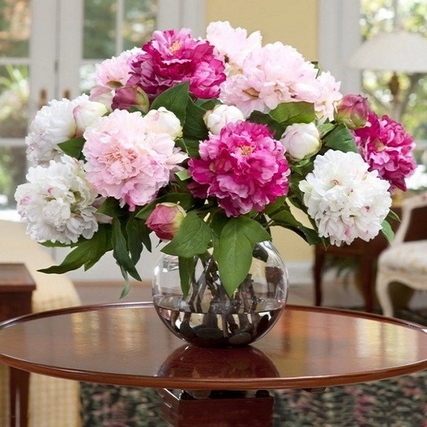 Hoa cẩm tú cầu đặc điểm ý nghĩa cách trồng và chăm sóc - 5