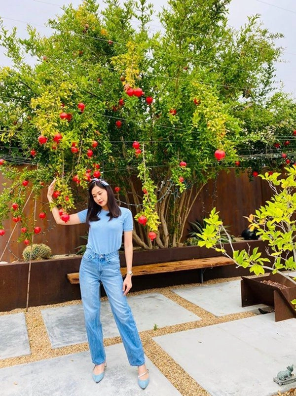Hoa hậu dương mỹ linh sang mỹ mát tay trồng trái cây lựu lúc lỉu đỏ rực một góc vườn - 2