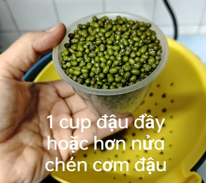 Học mẹ đảm cách làm giá đỗ bằng ấm đun nước siêu tốc giá mập ít rễ - 1