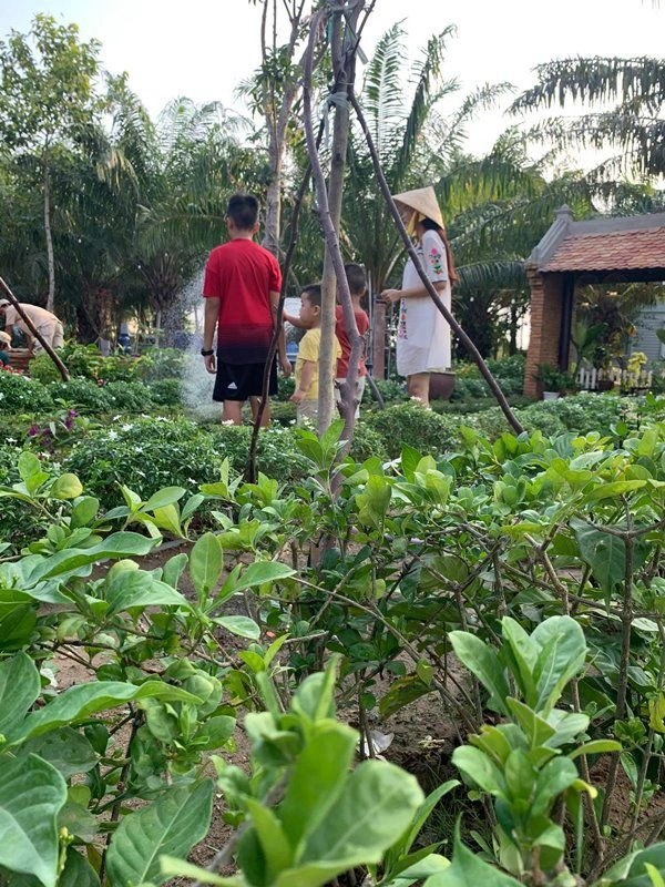 Kiwi ngô mai trang đưa con về nhà vườn lánh dịch không gian xanh mướt như ở quê - 13