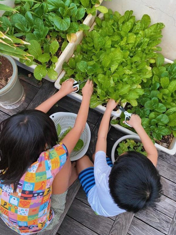 Làm dâu hào môn tăng thanh hà bảo thy có chung sở thích chồng con đều ủng hộ - 3