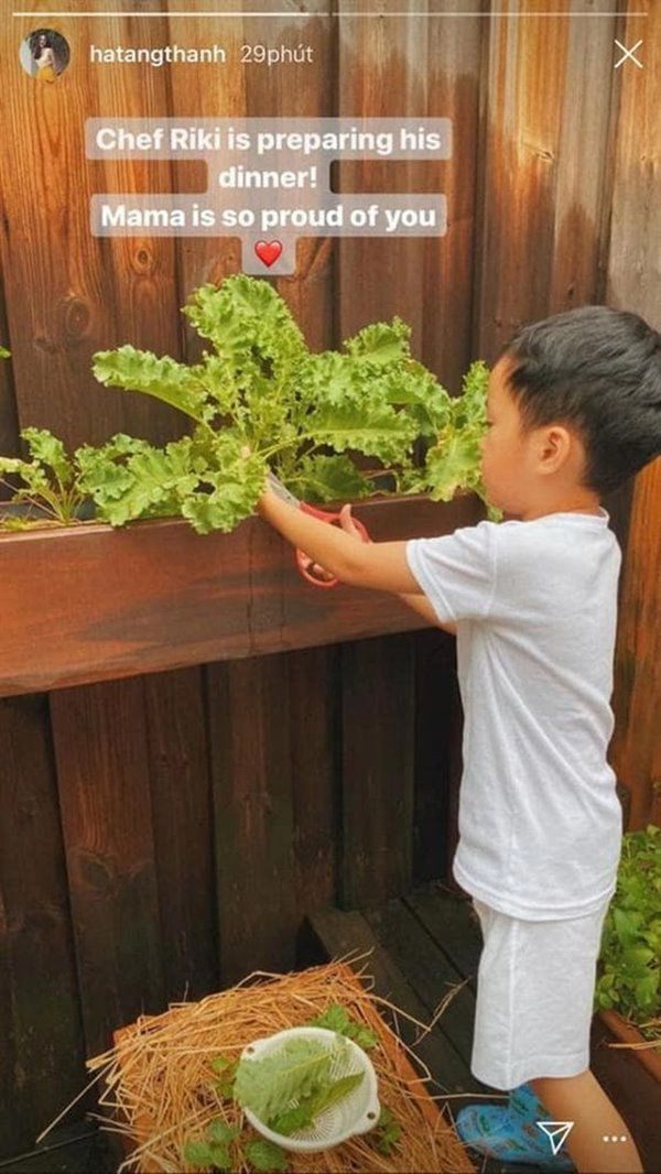 Làm dâu hào môn tăng thanh hà bảo thy có chung sở thích chồng con đều ủng hộ - 5