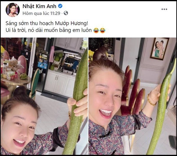 Mấy tháng nghỉ dịch ở nhà trồng rau nhật kim anh thu hoạch mướp dài gần bằng người - 10