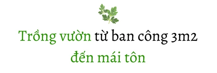 Mẹ 9x cải tạo 3m2 ban công làm vườn bội thu rau quả cả nhà ăn không hết - 2