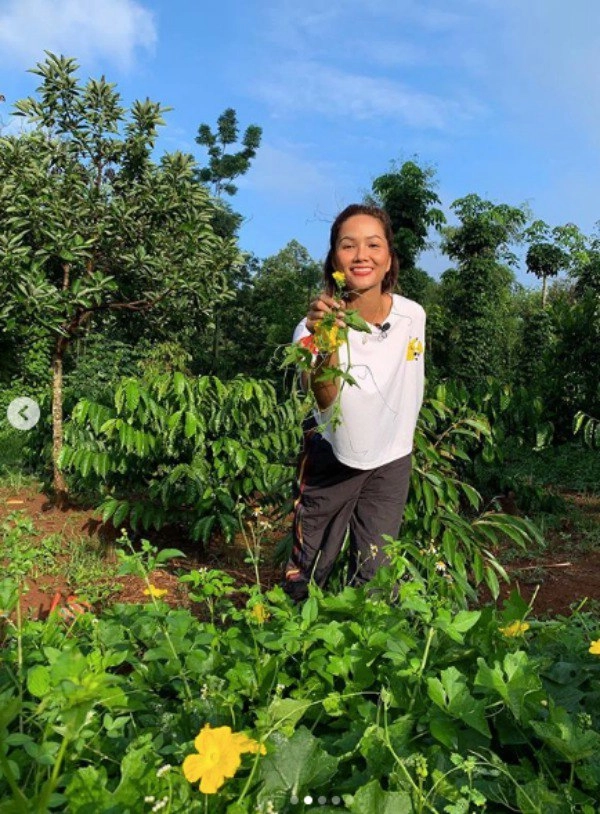 Mê ăn rau rừng nào ngờ hhen niê đẹp bên ngoài lẫn khỏe bên trong - 3