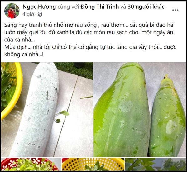 Mẹ ruột hồ ngọc hà trồng đủ loại cây trong biệt thự hào hứng đứng lên vai chồng thu hoạch - 2