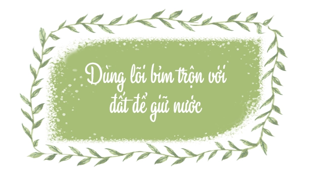 Mẹ việt trồng rau từ mảnh đất toàn sỏi đá giờ nhìn khu vườn chồng cười tủm tỉm cả ngày - 3