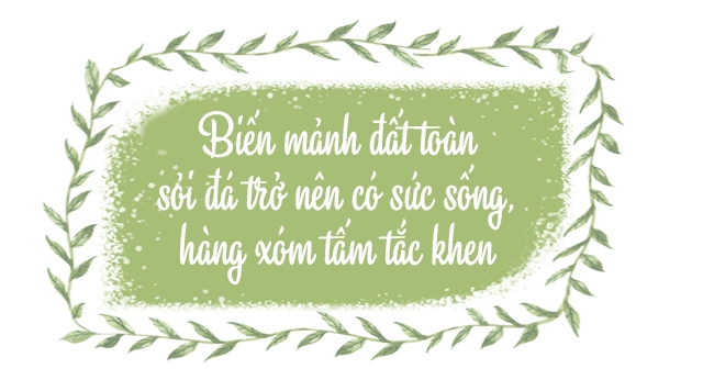 Mẹ việt trồng rau từ mảnh đất toàn sỏi đá giờ nhìn khu vườn chồng cười tủm tỉm cả ngày - 14