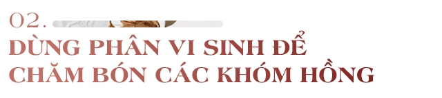 Mẹ vũng tàu dựng nhà gỗ 15m2 làm chốn lui về trồng 50 khóm hồng bao quanh như thiên đường - 11