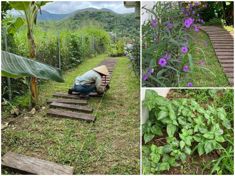 Mê vườn 3 mảnh đất trong nước chưa thoả mẹ việt làm vườn 5 tầng ở nam thái bình dương - 10