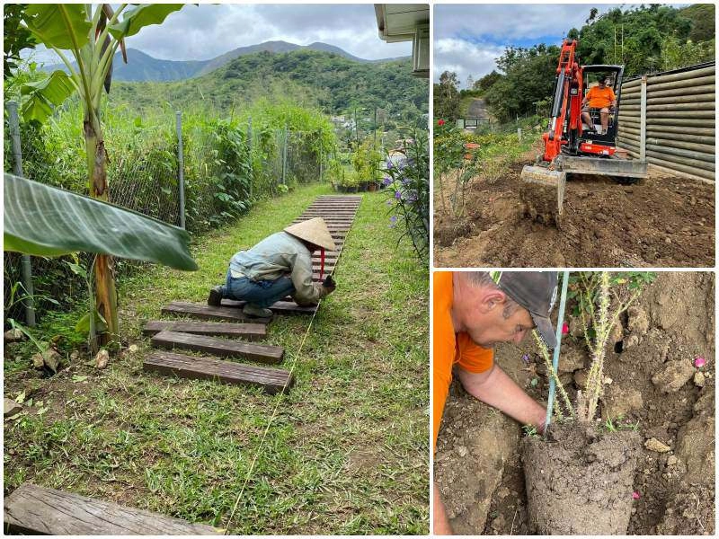 Mê vườn 3 mảnh đất trong nước chưa thoả mẹ việt làm vườn 5 tầng ở nam thái bình dương - 12