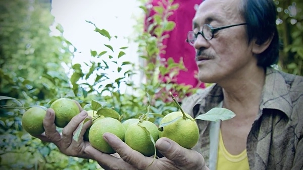 Mua nhà cách hà nội 30km nghỉ ngơi nghệ sĩ giang còi tết đội nón ra vườn nhặt cỏ - 2