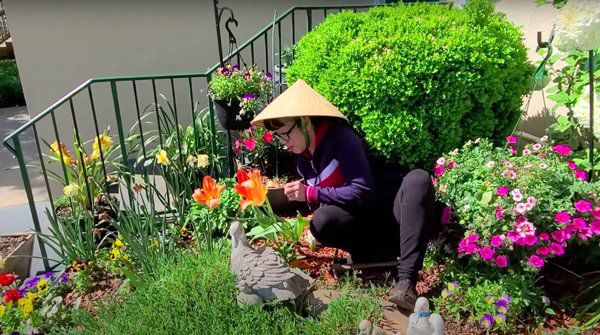 Nghệ sĩ phương hồng thủy tuổi xế chiều bên mỹ làm vườn trồng hoa rời xa hào quang - 3