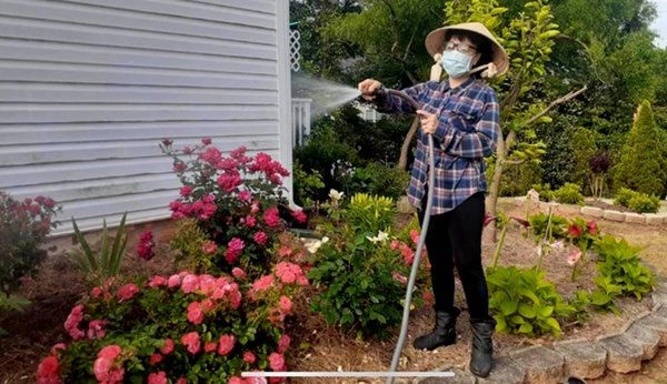 Nghệ sĩ phương hồng thủy tuổi xế chiều bên mỹ làm vườn trồng hoa rời xa hào quang - 5