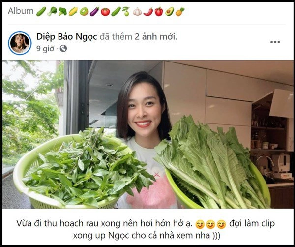 Nhà celeb diệp bảo ngọc trồng rau trên sân thượng như nhà ở quê thu hoạch cả rổ - 1