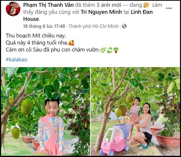 Nhà celeb ốc thanh vân đưa con ra vườn mẹ thăm dàn hoa hồng con hái mít mỏi tay - 2