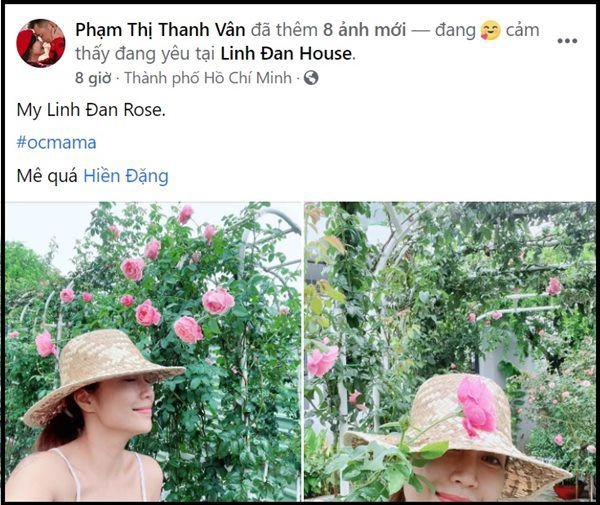 Nhà celeb ốc thanh vân đưa con ra vườn mẹ thăm dàn hoa hồng con hái mít mỏi tay - 3