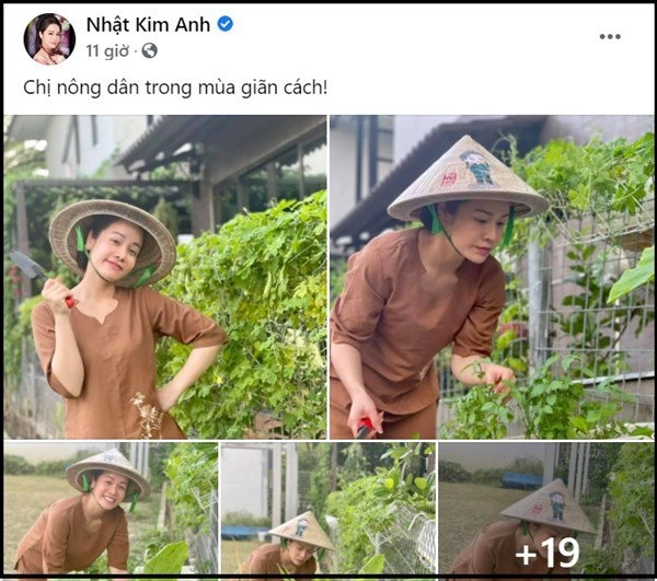 Nhật kim anh đón mẹ lên ở cùng hằng ngày chăm sóc vườn rau xanh vào mùa dịch - 2