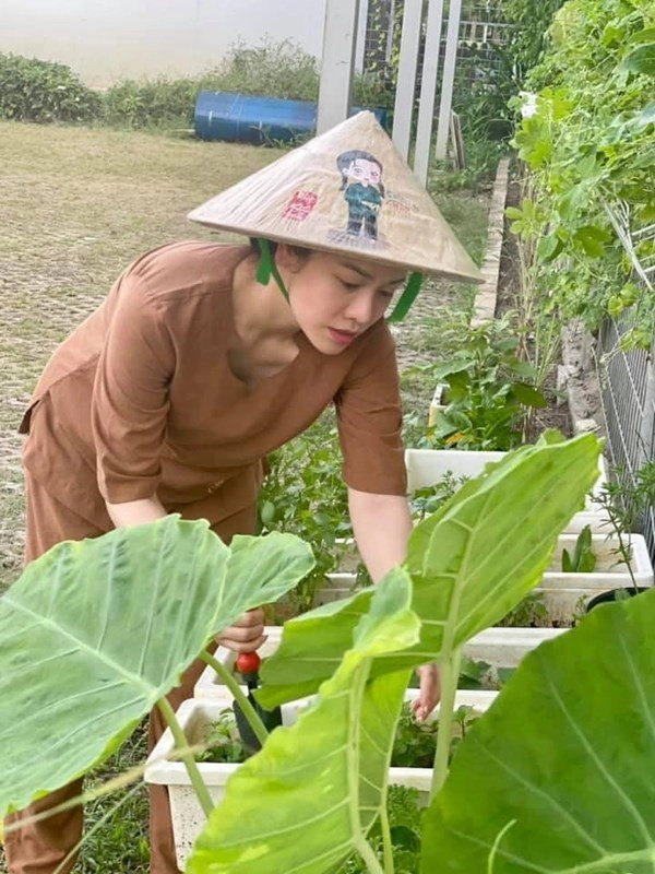 Nhật kim anh đón mẹ lên ở cùng hằng ngày chăm sóc vườn rau xanh vào mùa dịch - 7