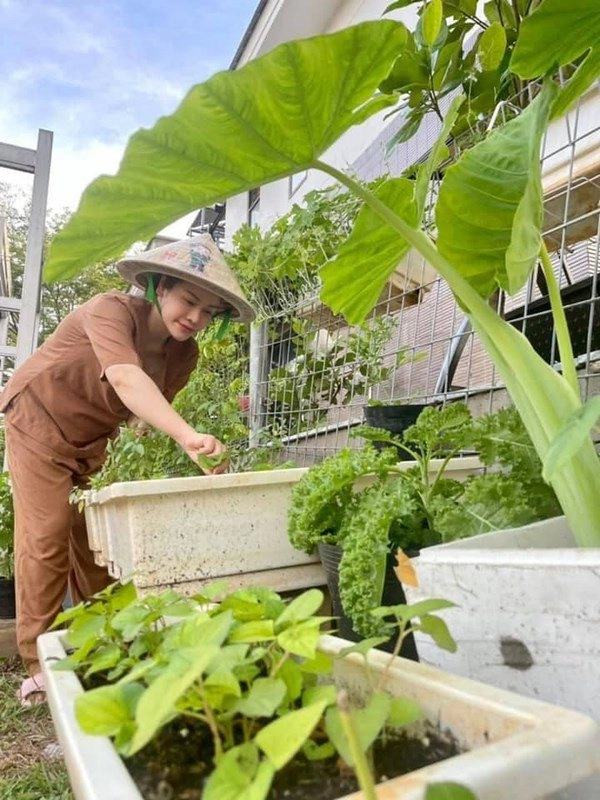 Nhật kim anh đón mẹ lên ở cùng hằng ngày chăm sóc vườn rau xanh vào mùa dịch - 9