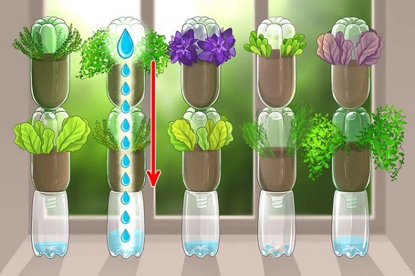 Những cách biến cửa sổ nhà thành khu vườn gia vị không tốn tiền vẫn có rau ăn - 3