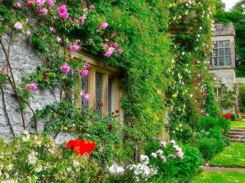 Những ngôi nhà phủ đầy hoa hồng khiến ai nhìn cũng mê - 5