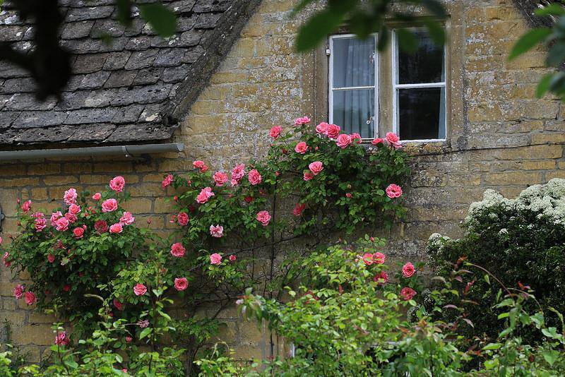 Những ngôi nhà phủ đầy hoa hồng khiến ai nhìn cũng mê - 12
