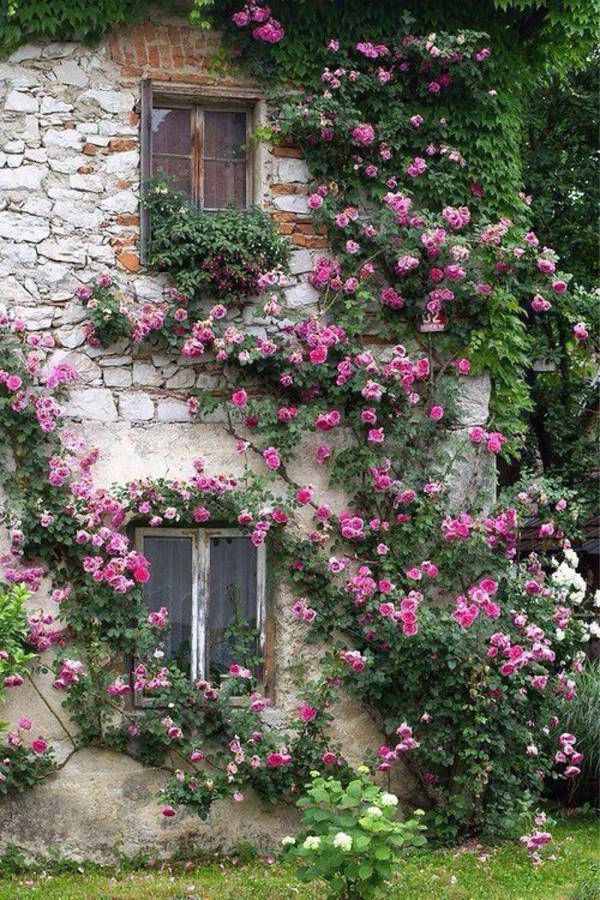 Những ngôi nhà phủ đầy hoa hồng khiến ai nhìn cũng mê - 13