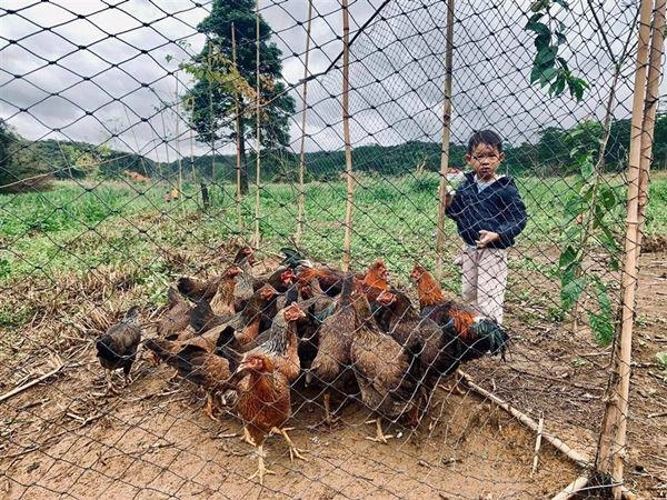 Những ông bố vừa chăm chỉ lại thương vợ con ở biệt thự vẫn tự trồng rau cho gia đình - 18