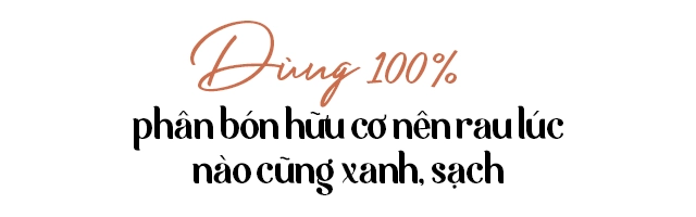 Ông bố hà nội huy động cả nhà bê đất lên sân thượng bội thu cả tạ rau quả - 19