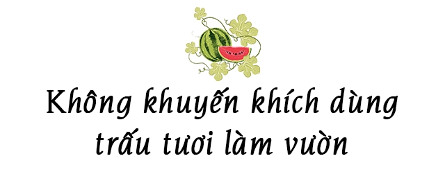 Ông bố phú thọ làm vườn sân thượng theo bí quyết riêng rau quả xanh tốt quanh năm - 3