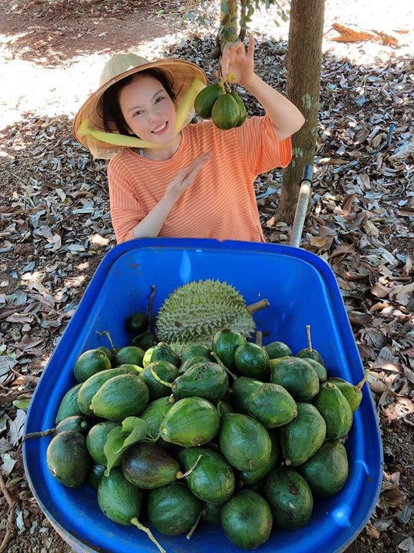 Sao việt sở hữu những khu vườn tiền tỷ ngọc sơn được tặng bằng kiều có thú chơi đắt đỏ - 5