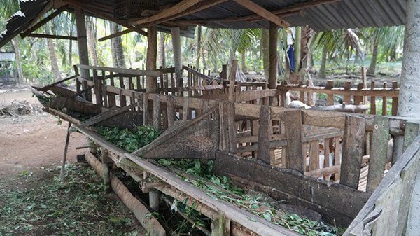 Trường giang nhã phương và những sao việt nổi tiếng giàu có bố mẹ ở quê sống nơi giản dị - 10