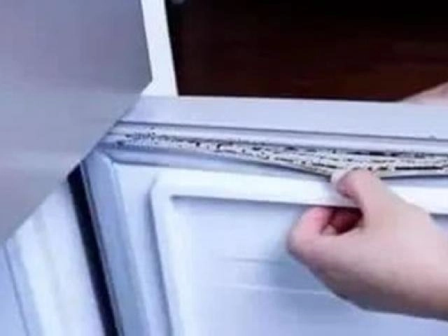 Tủ lạnh bị nóng có bình thường không làm thế nào để làm mát tủ lạnh - 7