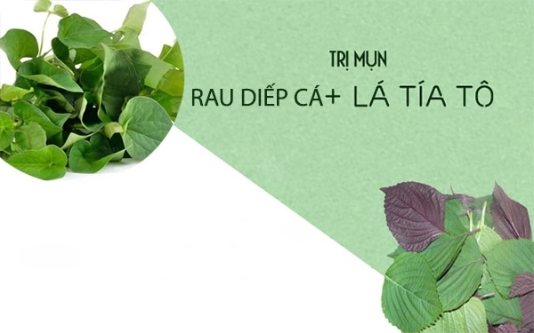 7 cách trị mụn bằng rau diếp cá hiệu quả giúp da thêm sáng mịn hồng hào - 1