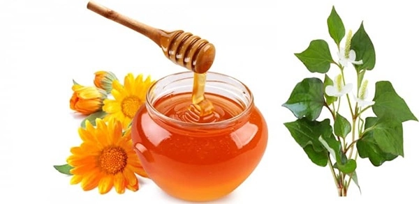 7 cách trị mụn bằng rau diếp cá hiệu quả giúp da thêm sáng mịn hồng hào - 2