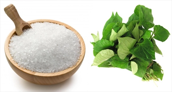 7 cách trị mụn bằng rau diếp cá hiệu quả giúp da thêm sáng mịn hồng hào - 3