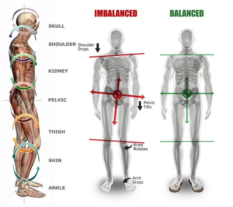 Đứng hay ngồi sai cách cũng làm dáng xiêu vẹo nàng chớ lo bởi tập gym có thể cải thiện - 1