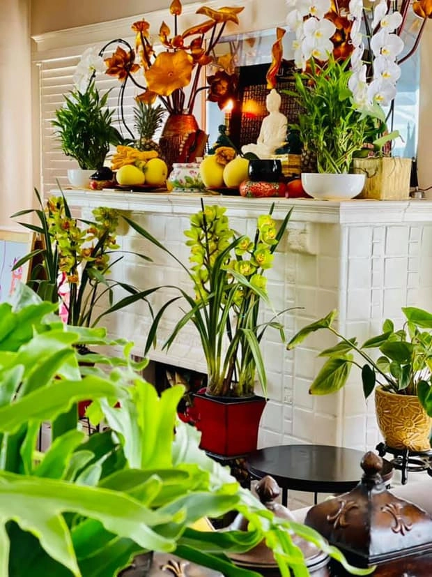 Khóa cửa nhà 10 tỷ ở việt nam thúy nga cùng con gái sống sang chảnh ở biệt thự mỹ - 3