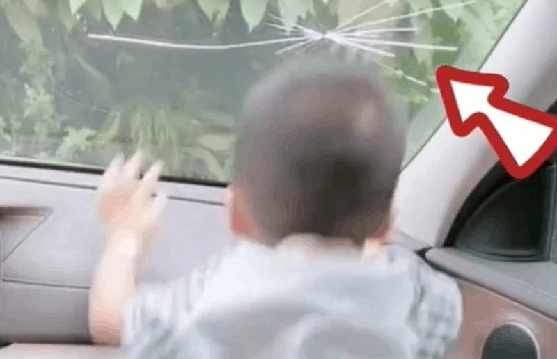 Trẻ nhỏ khóc lóc không muốn học sớm 6 cách dạy con học giỏi mẹ không nên bỏ qua - 2