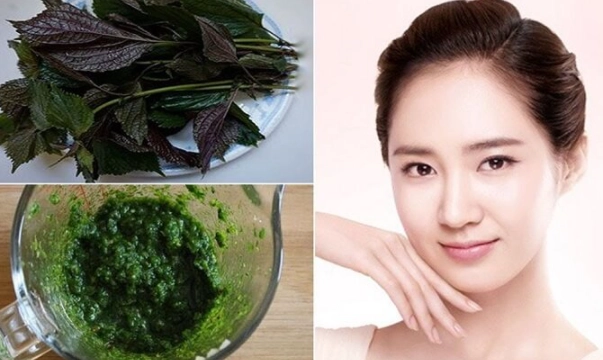 9 cách trị mụn bằng rau diếp cá tại nhà an toàn không tốn kém - 1