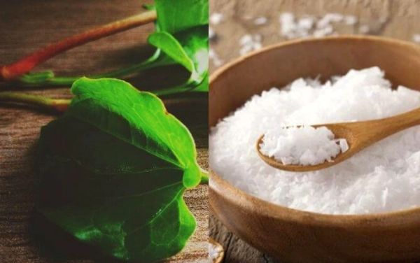 9 cách trị mụn bằng rau diếp cá tại nhà an toàn không tốn kém - 2